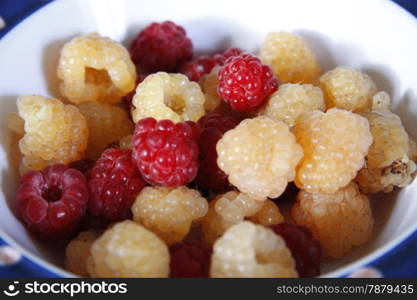 Raspberry on the plate close up after harvest