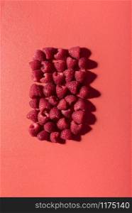 Raspberry pile in a rectangle shape on a lush lava table. Above view of freshly collected raspberries in sunlight. Summer fruits. Red monotone shades.