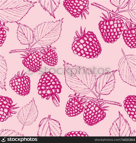 Raspberry seamless pattern. Sketch berries and leaves on pink background. Vintage style vector illustration for textile, scrapbooking, clothing design. raspberry seamless pattern vintage style vector illustration