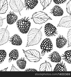 Raspberry seamless pattern. Sketch black berries and leaves on white background. Vintage style vector illustration for textile, scrapbooking, clothing design. raspberry seamless pattern vintage style vector illustration