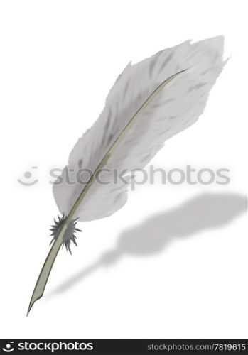 Raster image, a goose feather for the letter.