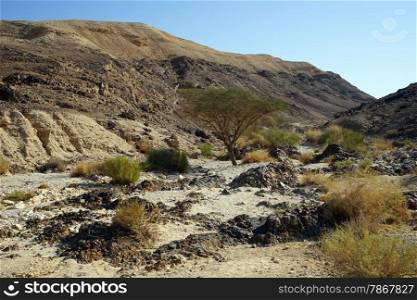 Ravine and mountain in Negev desert in Israel