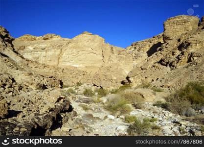 Ravine and mountain in Negev desert. Israel