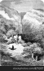 Ravine in the Sierra de Ronda, vintage engraved illustration. Le Tour du Monde, Travel Journal, (1872).