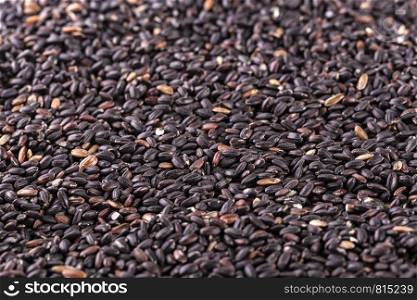 raw black rice as background