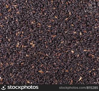 raw black rice as background
