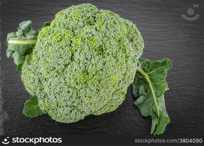 Raw broccoli on black chalkboard. Background with free text space.