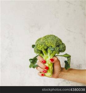 raw broccoli woman s hand white wall background