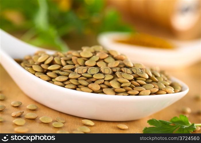 Raw brown lentil seeds with curry powder and cilantro in the back (Selective Focus, Focus on half of the height of the pile) . Raw Lentil