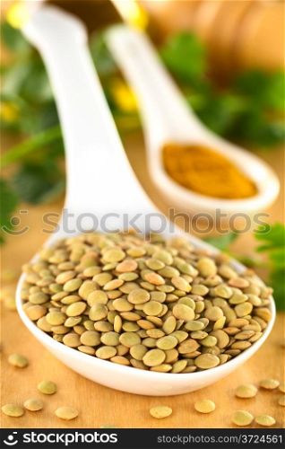Raw brown lentil seeds with curry powder and cilantro in the back (Selective Focus, Focus one third into the lentils) . Raw Lentil