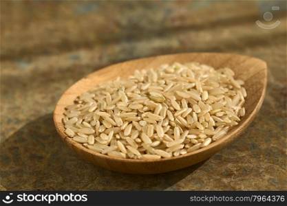 Raw brown or wholegrain rice kernels on small plate, photographed on slate with natural light (Selective Focus, Focus one third into the rice)