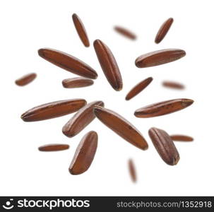 Raw brown rice levitates on a white background.. Raw brown rice levitates on a white background