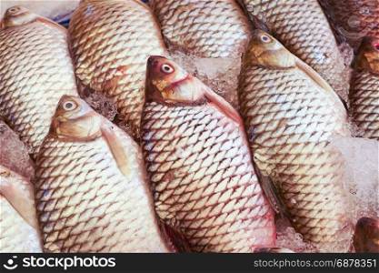 raw carp fish in market