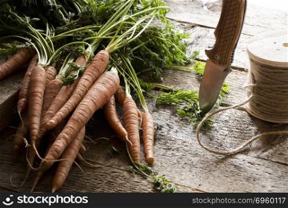 Raw carrots with leaves. Bunch of unwashed carrots with leaves on a wooden vintage table