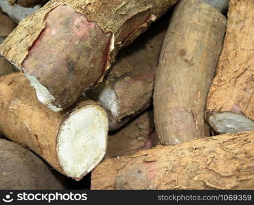 Raw cassava in the market