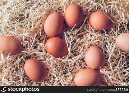 Raw chicken eggs in the hay: top view