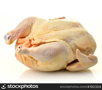 raw chicken on white background