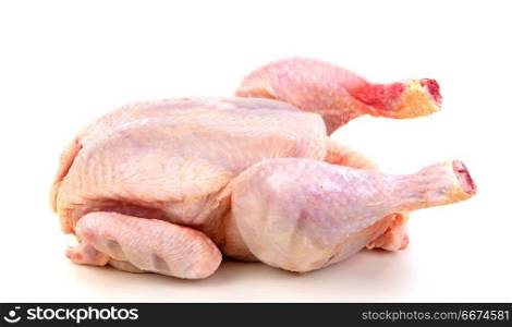 Raw chicken ready to cook . Raw chicken ready to cook isolated on a white background