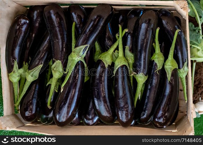 Raw eggplants in wood crate, food top view. eggplants in crate