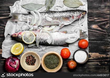 Raw fish and ingredients. Two prepared for cooking fish with spices and seasonings