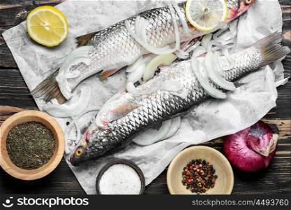 Raw fish and ingredients. Two prepared for cooking fish with spices and seasonings