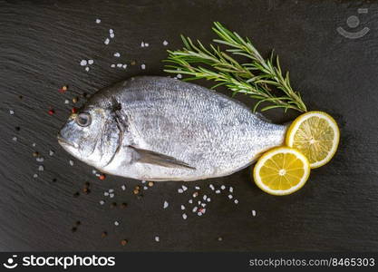 Raw fish dorado on black slate background with spices, rosemary and lemon. Top view, flat lay with copy space for text. Fresh fish dorado on black slate background with ingredients for cooking