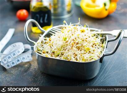 Raw fresh young organic sprouts in bowl
