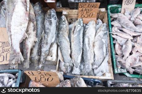 raw frozen fish on a local market