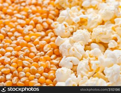 Raw golden swee tcorn and popcorn seeds half plate macro