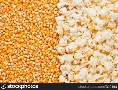 Raw golden sweet corn and popcorn seeds half plate macro