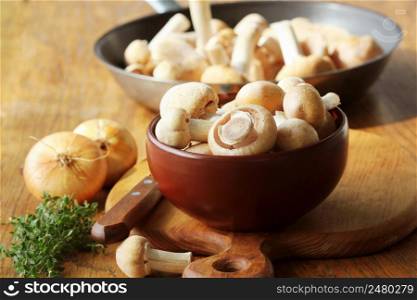 Raw Gypsy mushroom or Cortinarius caperatus mushrooms redy for cooking. Composition with wild mushrooms, herbs, onion .. Raw Gypsy mushroom or Cortinarius caperatus mushrooms redy for cooking. Composition with wild mushrooms, herbs, onion
