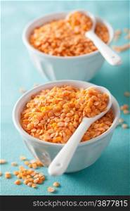 raw healthy red lentils in bowls