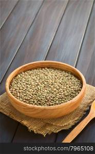 Raw lentils (lat. Lens culinaris) in wooden bowl, photographed on dark wood with natural light (Selective Focus, Focus one third into the lentils)