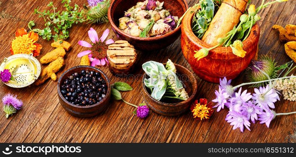 Raw medical herbs and flowers.Alternative medicine concept.Herbal medicine.Assorted natural medical herbs. Healing herbs with mortar