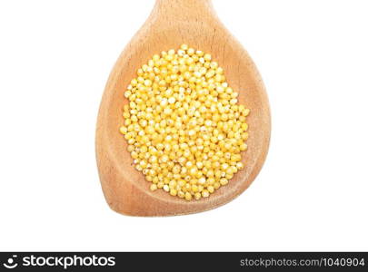 Raw millet on wooden spoon and white background