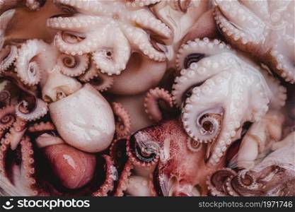 raw octopus background. High resolution photo. raw octopus background. High quality photo