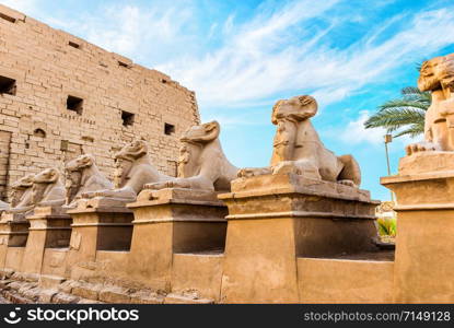 Raw of sphinxes in Karnak Temple of Luxor at summer day, Egypt. Raw of sphinxes in Karnak Temple