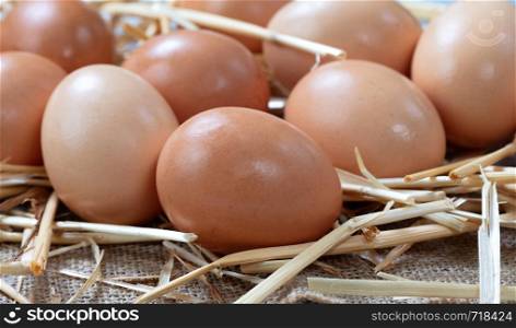 Raw organic brown farm eggs on straw background
