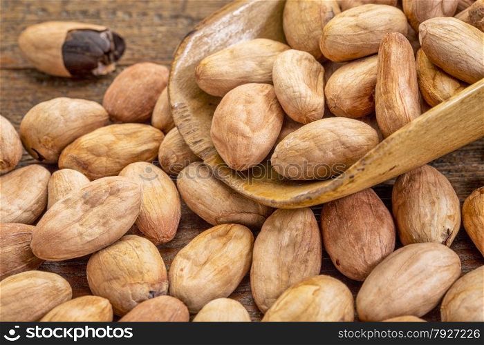 raw organic cacao beans on a rustic wooden scoop