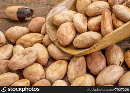 raw organic cacao beans on a rustic wooden scoop