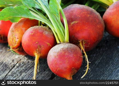 Raw organic golden beets on wooden background .. Raw organic golden beets on wooden background