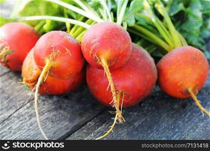 Raw organic golden beets on wooden background .. Raw organic golden beets on wooden background
