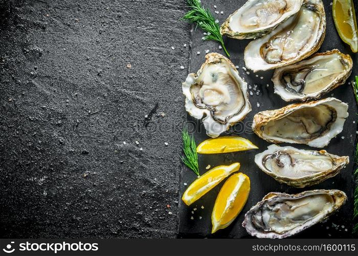 Raw oysters on a stone Board with lemon slices and dill. On black rustic background. Raw oysters on a stone Board with lemon slices and dill.