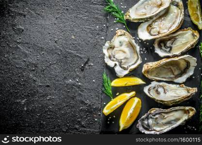Raw oysters on a stone Board with lemon slices and dill. On black rustic background. Raw oysters on a stone Board with lemon slices and dill.