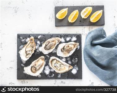 Raw oysters on the slate board flat lay