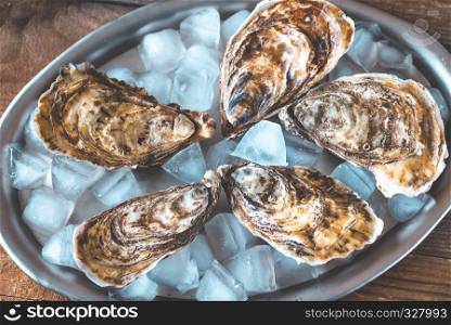 Raw oysters with ice on the metal tray