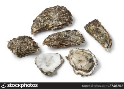 Raw Pacific oysters on white background