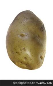 raw potato, Solanum tuberosum L isolated