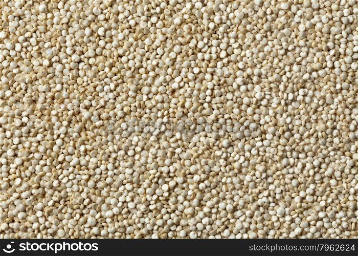 Raw Quinoa seeds full frame