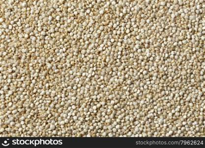 Raw Quinoa seeds full frame